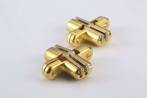 50lbs 180 Graadtapgat zetten het Onzichtbare Materiaal van het Scharnierroestvrije staal op