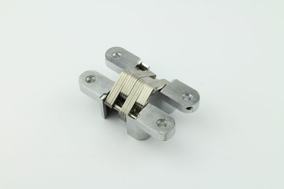 De roestvrije Behandeling van Deursoss invisible hinge nickel surface