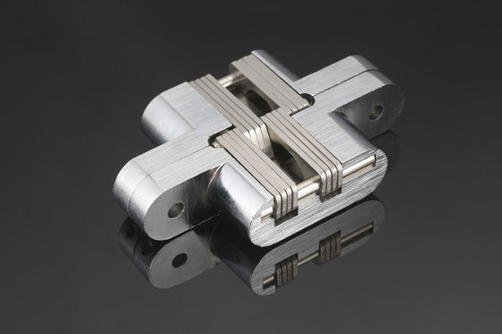 De gegalvaniseerde Op zwaar werk berekende Verborgen Deur voorziet Multifunctionele Anticorrosive van een scharnier